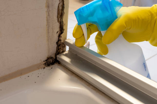 Best HVAC Mold Remediation in Goodland, KS