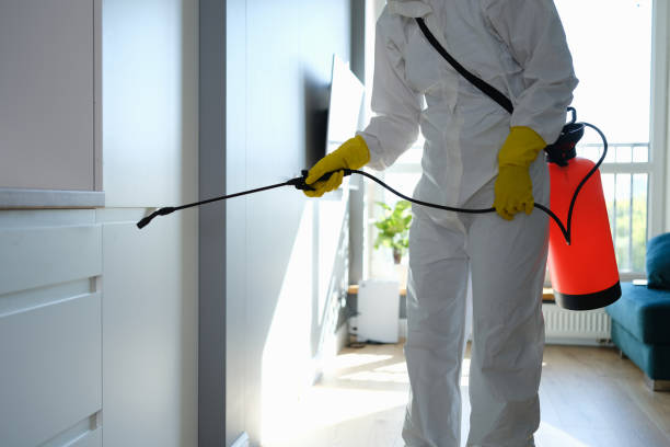 Best Mold Testing and Inspection Services in Goodland, KS
